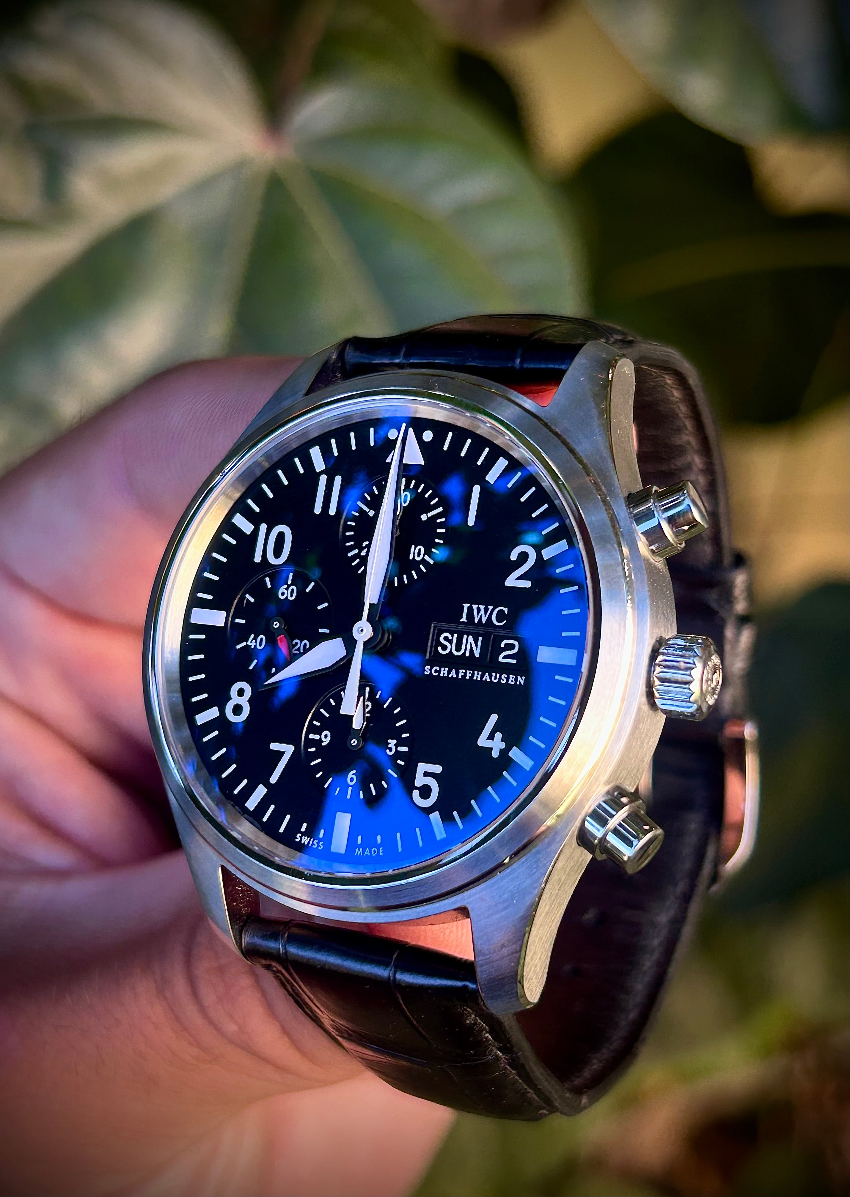 IWC PILOTS CHRONOGRAPH, 371701, WATCH ONLY